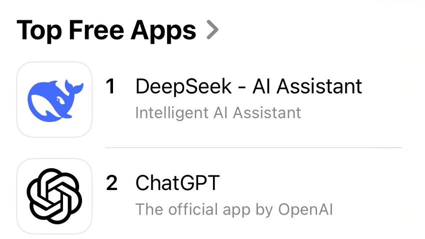 DeepSeek 6分：对其运营有什么了解